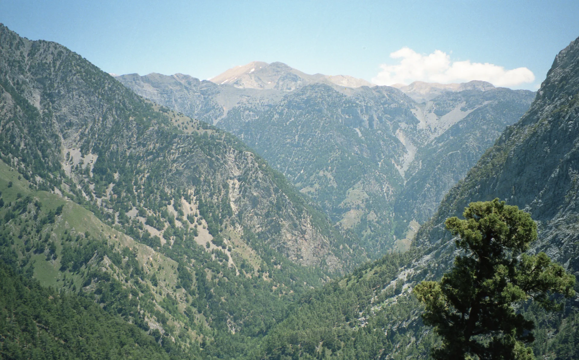 Wide mountain landscape in Samaria Gorge with steep slopes and a wooded valley